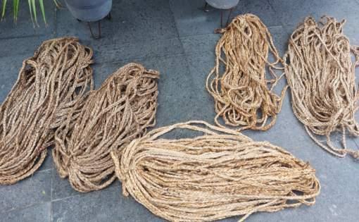 Natural Fibres and their Technical Applications